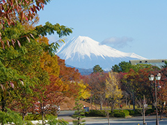 鈴廣